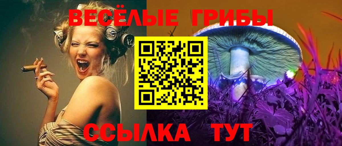 Псилоцибиновые грибы MAGIC MUSHROOMS Можайск