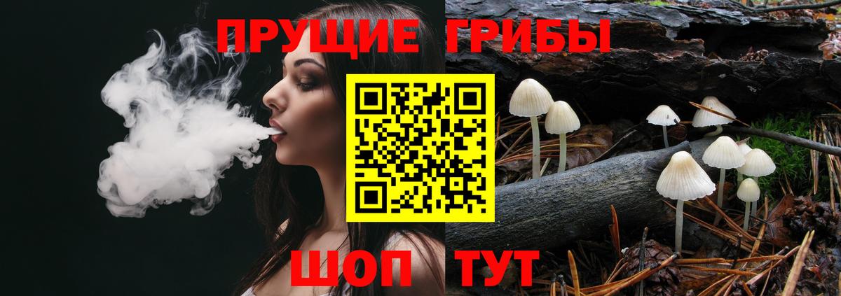 Галлюциногенные грибы Psilocybe  Галлюциногенные грибы мухоморы  Можайск  Вход с VPN 